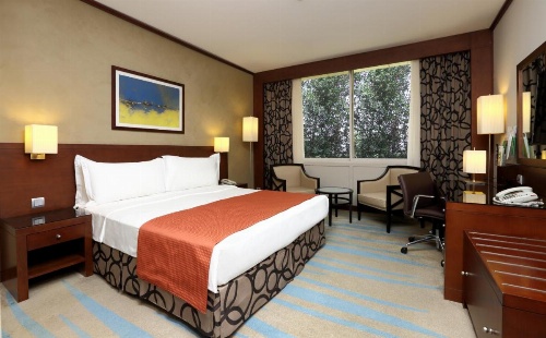 Holiday Inn Riyadh Izdihar, an IHG Hotel image 38